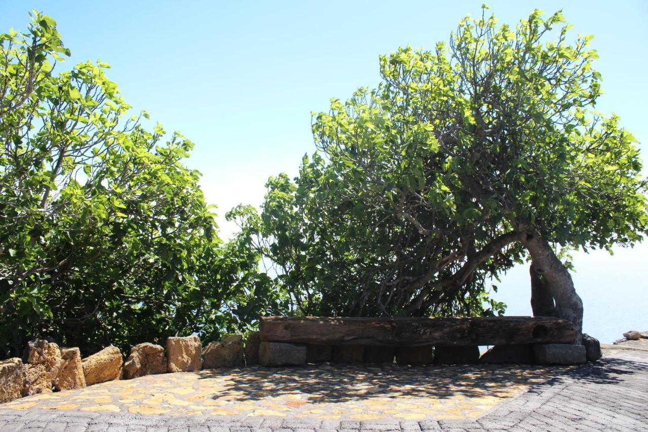 Casa Rural Quinta Los Naranjos Tigalate ภายนอก รูปภาพ