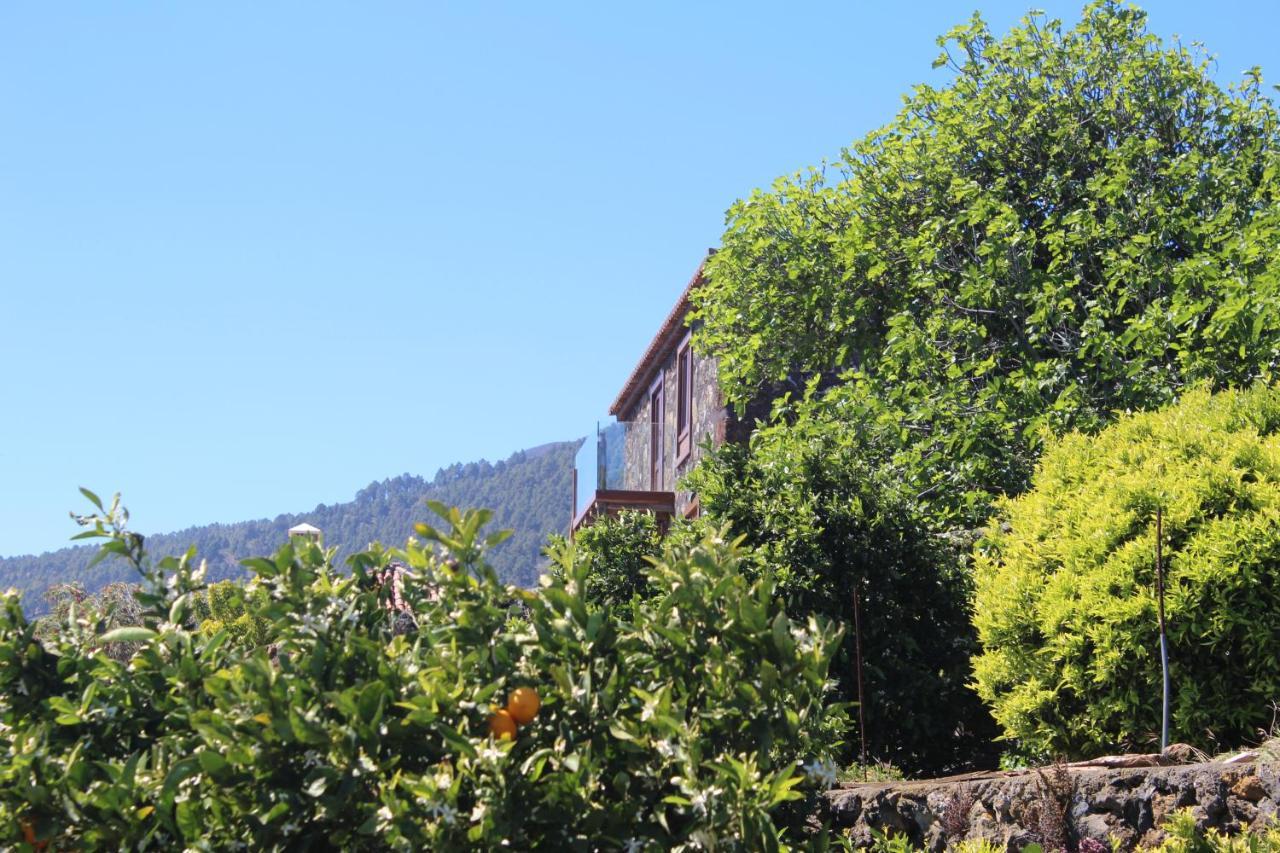 Casa Rural Quinta Los Naranjos Tigalate ภายนอก รูปภาพ